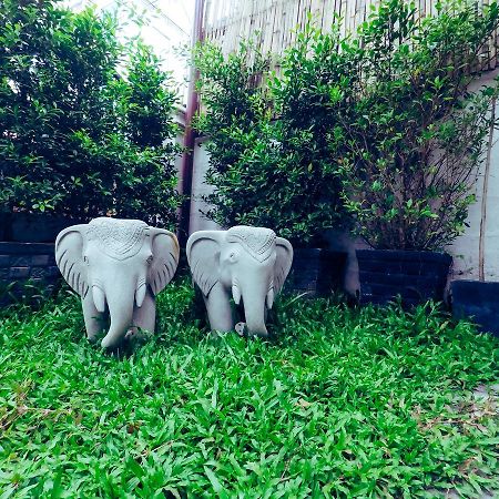 Adventure Siem Reap Lodge Exteriér fotografie