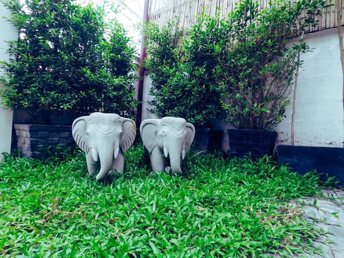 Adventure Siem Reap Lodge Exteriér fotografie